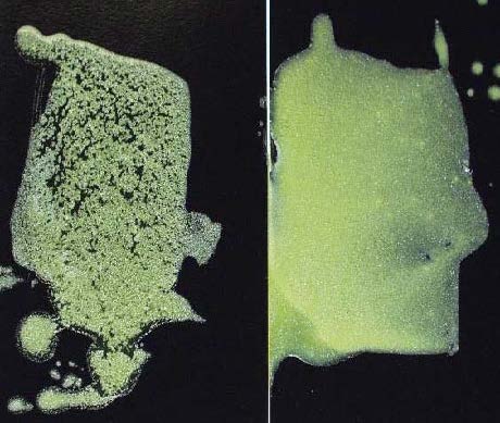 Pigmented Epoxy Coating Mixing